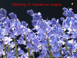 Oefening 13 Handen en vingers