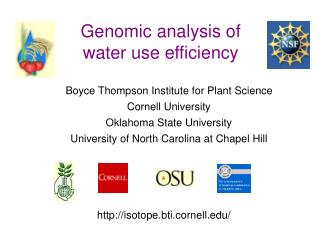 Genomic analysis of water use efficiency