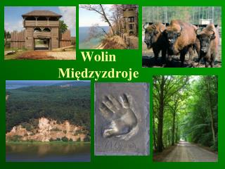 Wolin Międzyzdroje