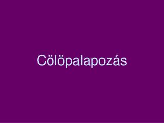 Cölöpalapozás