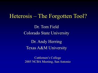 Heterosis – The Forgotten Tool?