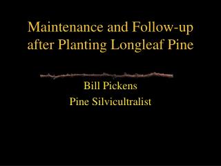 Maintenance and Follow-up after Planting Longleaf Pine