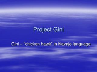 Project Gini