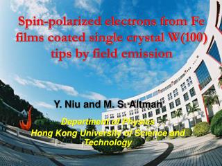 Spin-polarized electrons from Fe films coated single crystal W(100) tips by field emission