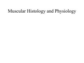 Muscular Histology and Physiology