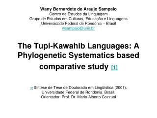 [1] Síntese de Tese de Doutorado em Lingüística (2001).