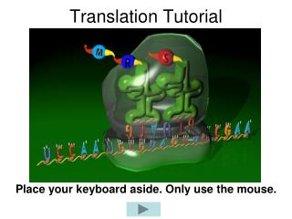 Translation Tutorial