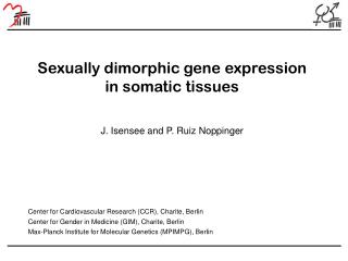 Sexually dimorphic gene expression in somatic tissues