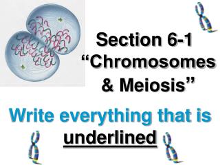 Section 6-1 “Chromosomes &amp; Meiosis ”