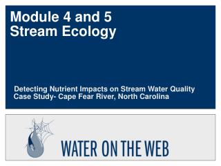 Module 4 and 5 Stream Ecology