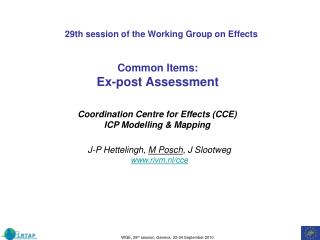 29th session of the Working Group on Effects