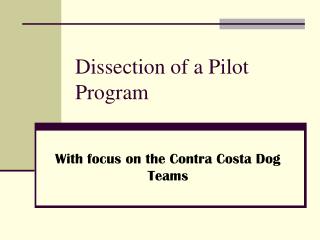 Dissection of a Pilot Program