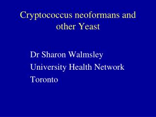 Cryptococcus neoformans and other Yeast