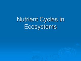 Nutrient Cycles in Ecosystems