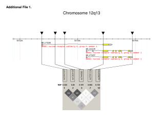 Chromosome 12q13