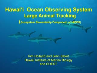 Hawai‘i Ocean Observing System