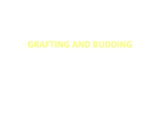 GRAFTING AND BUDDING
