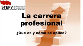 La carrera profesional