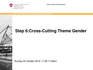 Step 6:Cross-Cutting Theme Gender