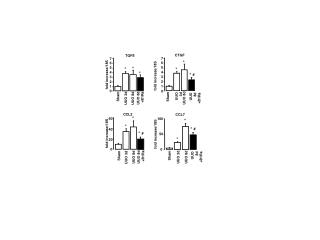 fold increase/18S