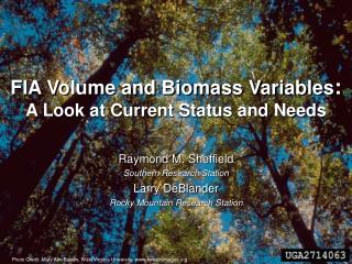 FIA Volume and Biomass Variables : A Look at Current Status and Needs