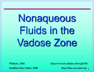 Nonaqueous Fluids in the Vadose Zone