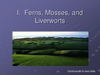 I. Ferns, Mosses, and Liverworts