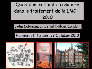Questions restant a résoudre dans le traitement de la LMC - 2010