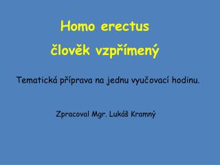 Homo erectus člověk vzpřímený