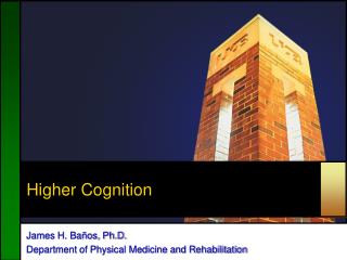 Higher Cognition