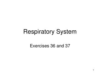 Respiratory System