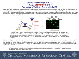 University of Chicago MRSEC H Jaeger DMR-0213745 (IRG4) Fabrication of Antibody Arrays with SAMS