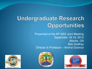 Undergraduate Research Opportunities