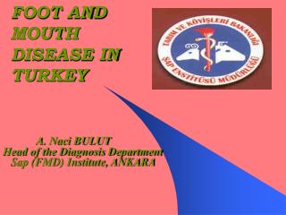 FOOT AND MOUTH DISEASE IN TURKEY