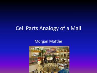 Cell Parts Analogy of a Mall