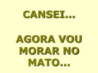 CANSEI... AGORA VOU MORAR NO MATO...