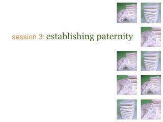 session 3: establishing paternity