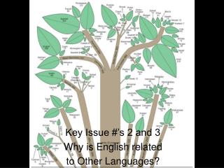 Key Issue #’s 2 and 3 Why is English related to Other Languages?