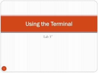 Using the Terminal