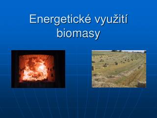Energetické využití biomasy
