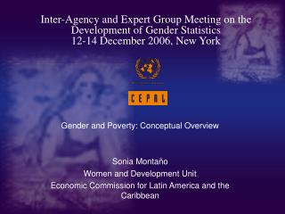 Gender and Poverty: Conceptual Overview Sonia Montaño Women and Development Unit