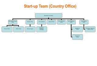 Start-up Team (Country Office)