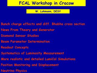 FCAL Workshop in Cracow