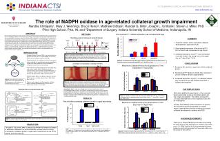 The role of NADPH oxidase in age-related collateral growth impairment