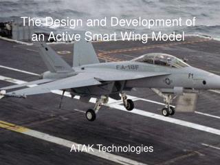 The Design and Development of an Active Smart Wing Model