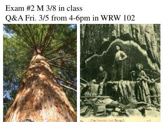 Exam #2 M 3/8 in class Q&amp;A Fri. 3/5 from 4-6pm in WRW 102