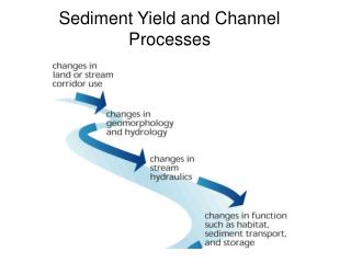 Sediment Yield and Channel Processes