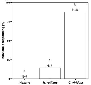 N=7