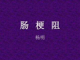 肠 梗 阻