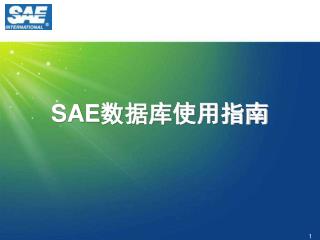 SAE 数据库使用指南